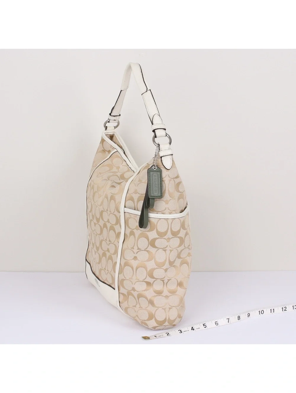 Coach F30341 Park Signature C Monogram Hobo Bag